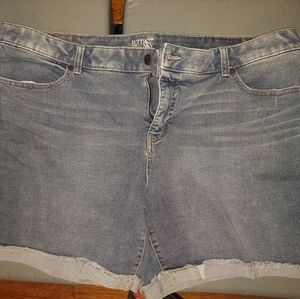 Terra and Sky 22W Cuffed Shorts